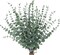 24pcs Artificial Eucalyptus Stems – Fake Greenery Branches and Leaves for Wedding Centerpieces, Spring, Easter, Farmhouse Home Decor